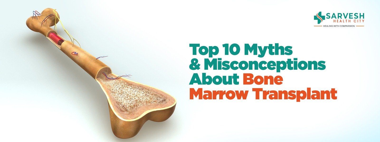 top-10-myths-and-misconceptions-about-bone-marrow-transplant