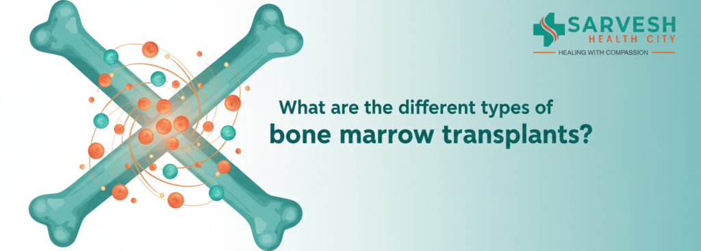 what-are-the-different-types-of-bone-marrow-transplants
