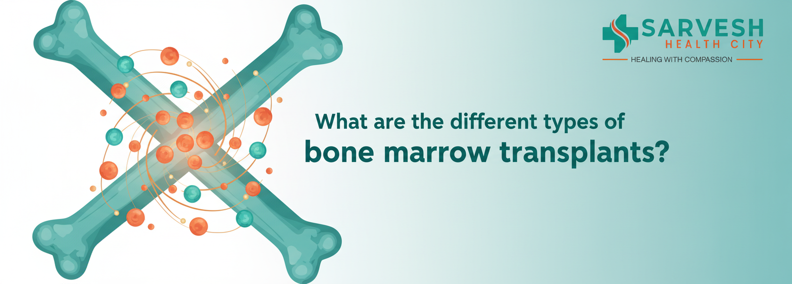 what-are-the-different-types-of-bone-marrow-transplants